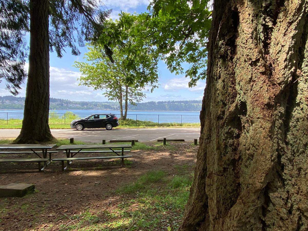 A sign and fencing is meant is to keep visitors away from dangerous cliffs along the Five Mile Drive Wednesday at Point Defiance Park in Tacoma.