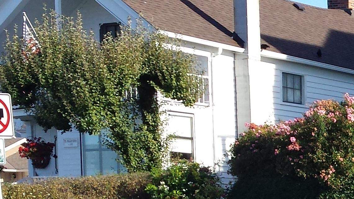 Sharon Struthers, left, and daughter Lisa Bowser smile for a photo with Struthers’ dog, Blackjack, at Fort Steilacoom. Bowser was visiting Struthers while Struthers was a patient at Western State Hospital.