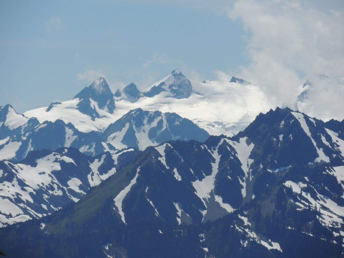 The view of Mount Olympus from Hurricane Ridge in Olympic National Park. 