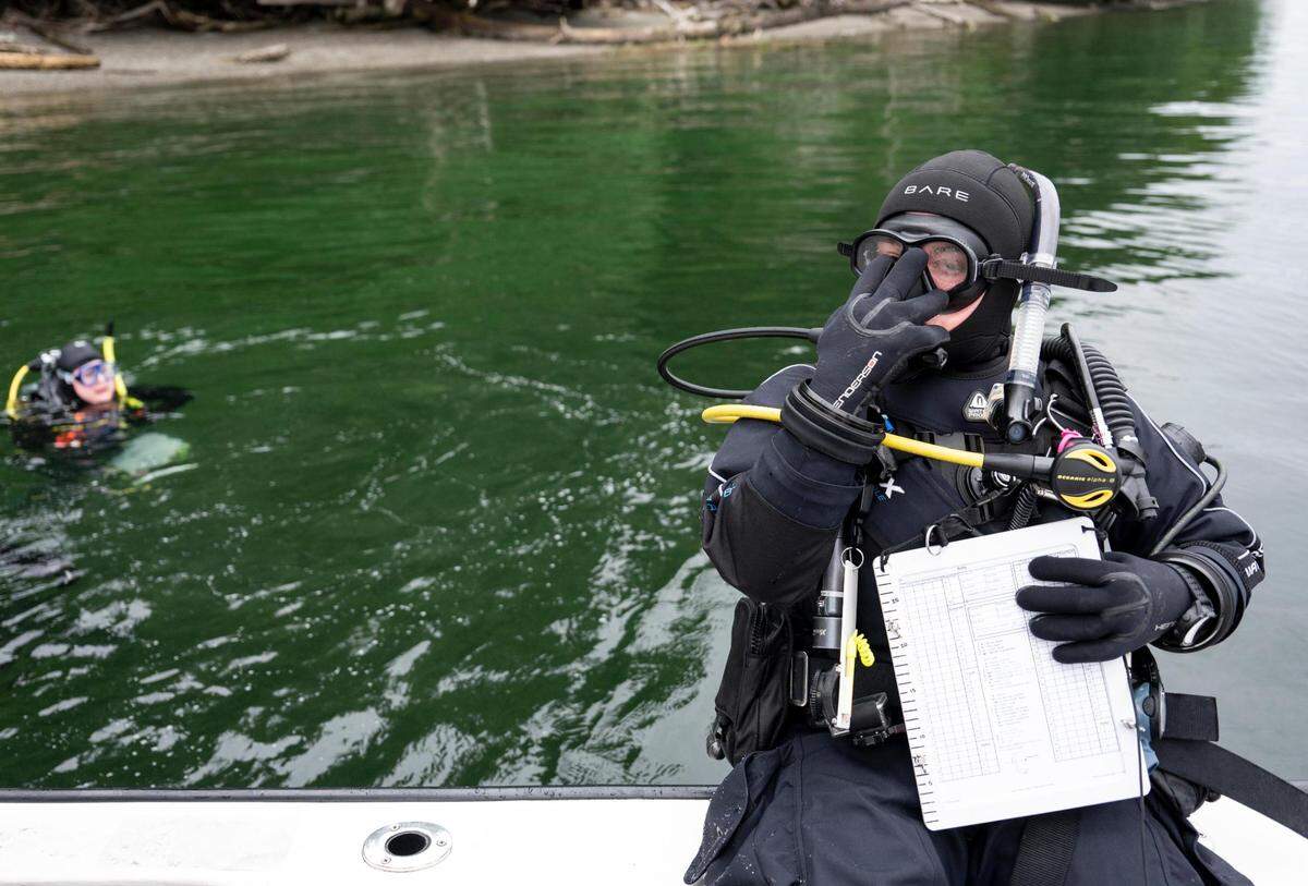 Diver Jackie Keleher prepares to enter Puget Sound near Tacoma’s Owen Beach on Monday, July 24, 2023. A group of three divers is surveying kelp in the area.