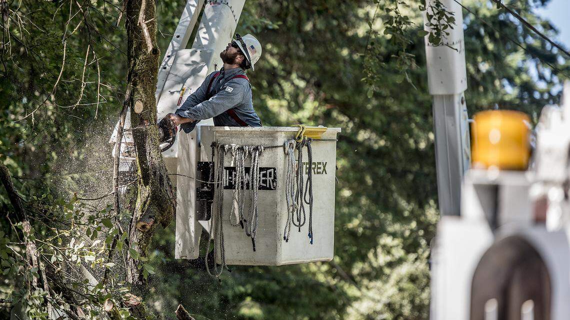 A Peninsula Light crew worked along the Key Peninsula Highway by Evergreen Elementary School in 2015. A new scam call is demanding payments from customers via cash gift cards. PenLight advises customers to hang up and call them if you receive one of these threats.
