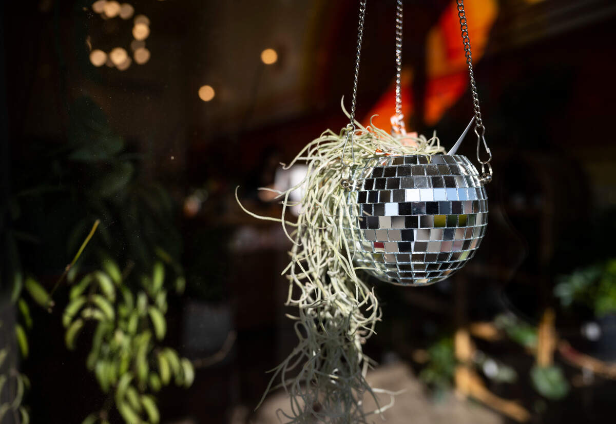 A plant placed in a disco ball hangs in the window of Sunne Plant Shop, a new local business owned by Desiray O’Brien, in downtown Sumner, Wash. on Oct. 13, 2022.