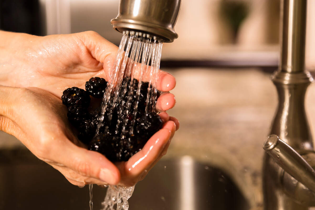 Wash blackberries with salt water or vinegar to remove pesticides and bacteria.