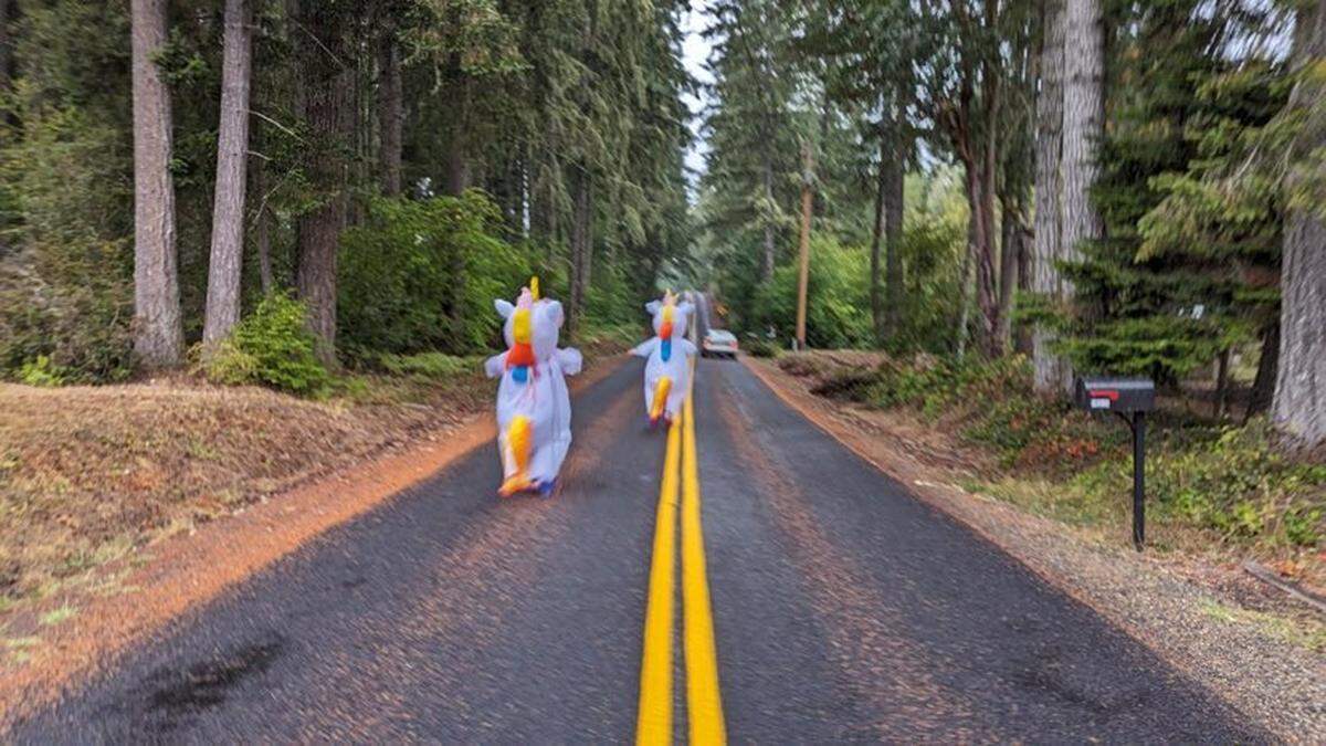 Unicorns were seen chasing after cars Sept. 24 on the Key Peninsula. 
