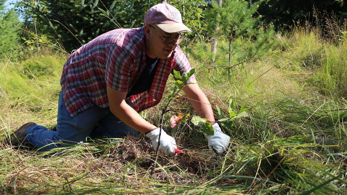 Marianne Binetti’s gardening resolutions for 2026 to enjoy your plants