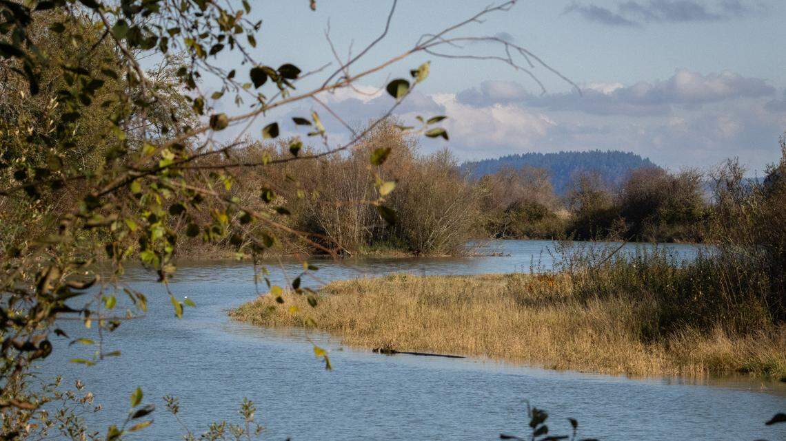 The Nisqually River winds through the Billy Frank Jr. Nisqually National Wildlife Refuge.