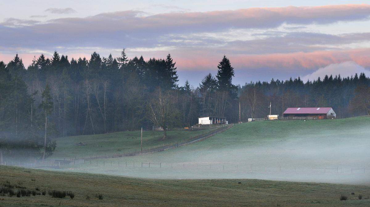 A 2013 file photo of Kaukiki Farm on the southern tip of the Key Peninsula.