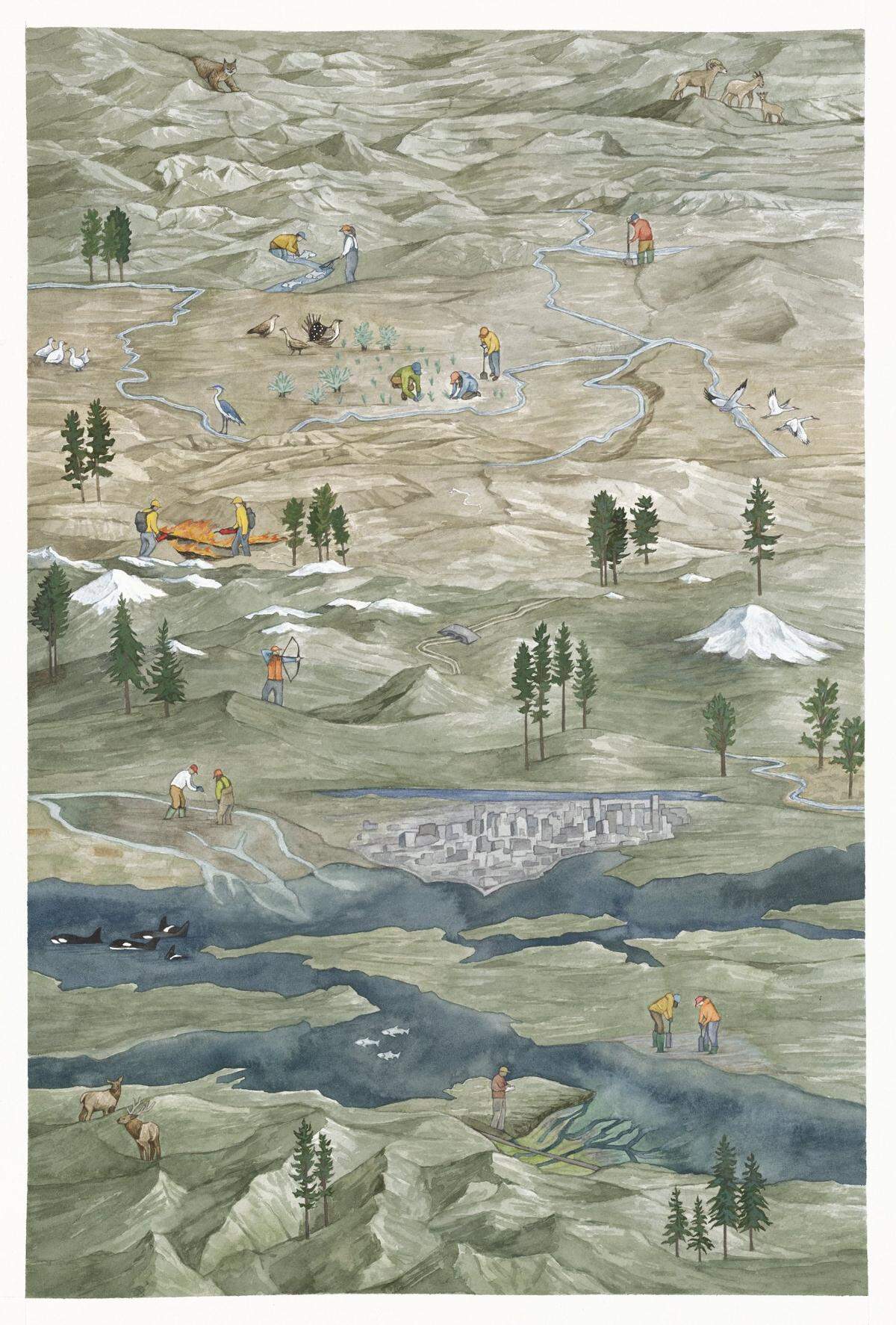 Pictures is an artwork created by Jill Pelto in collaboration with the Washington Department of Fish and Wildlife (WDFW), which depicts Washington’s distinct ecoregions: the Coast Range, the Puget lowlands, a piece of the Willamette Valley, the varied Cascades Range, the Columbia plateau, the Blue Mountains, and the Northern Rockies. Mount Rainier is pictured to the right of the image.