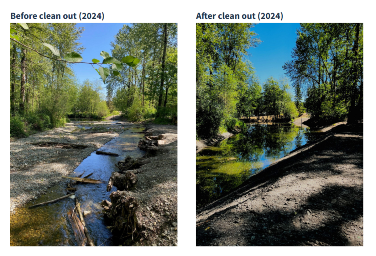 Before and after photos of the creek.