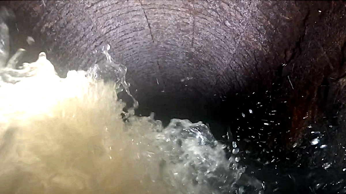 Embedded rebar can be seen exposed along the top of a sewer pipe, forming “ribs” as opposed to smooth concrete, in this photo taken from a fall 2024 video inspection by Pierce County of a pipe within and near Bridgeport Way West.