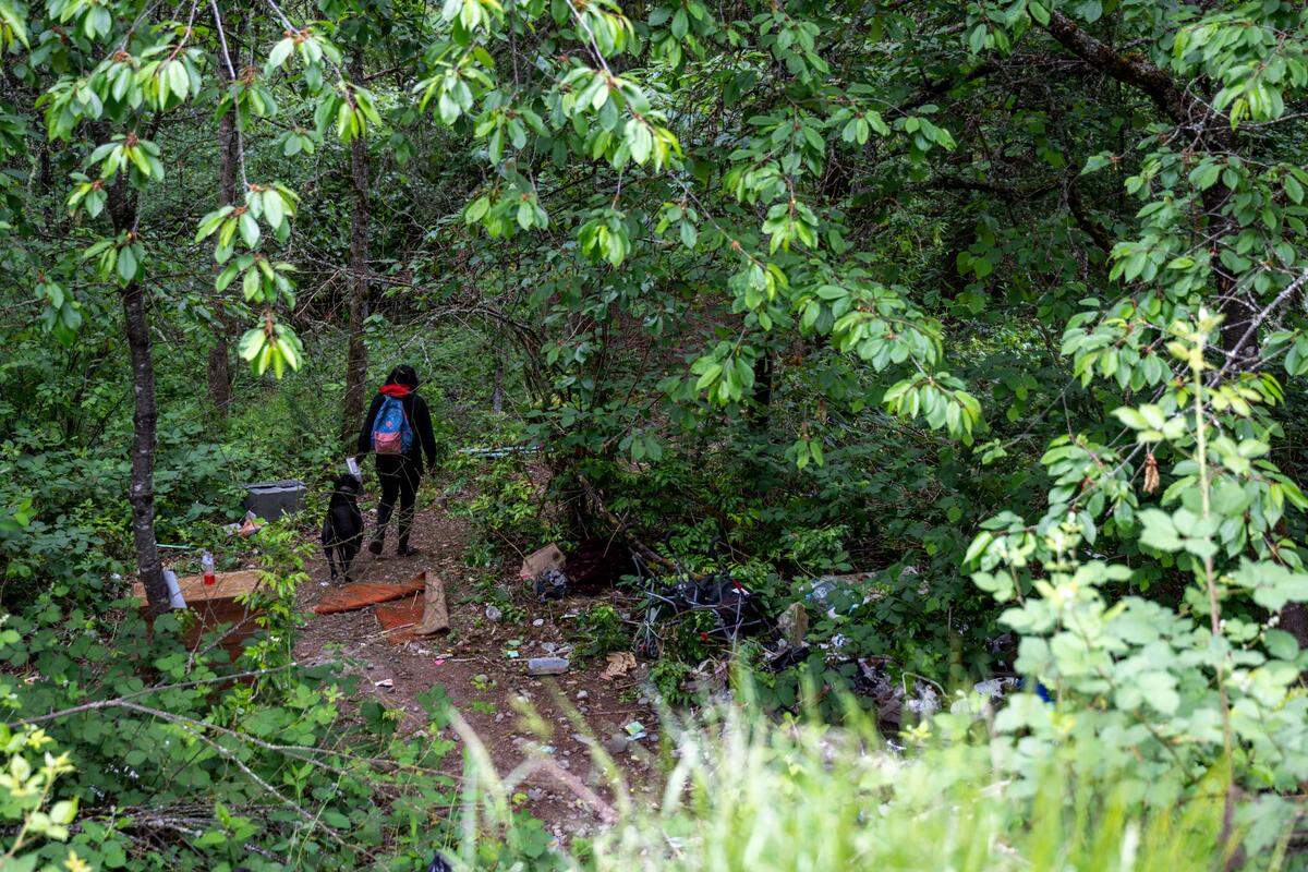 A woman walks with her dog into a wooded area east of South Tyler Street as an extensive homeless encampment is cleared on Tuesday, May 30, 2023, in Tacoma.
