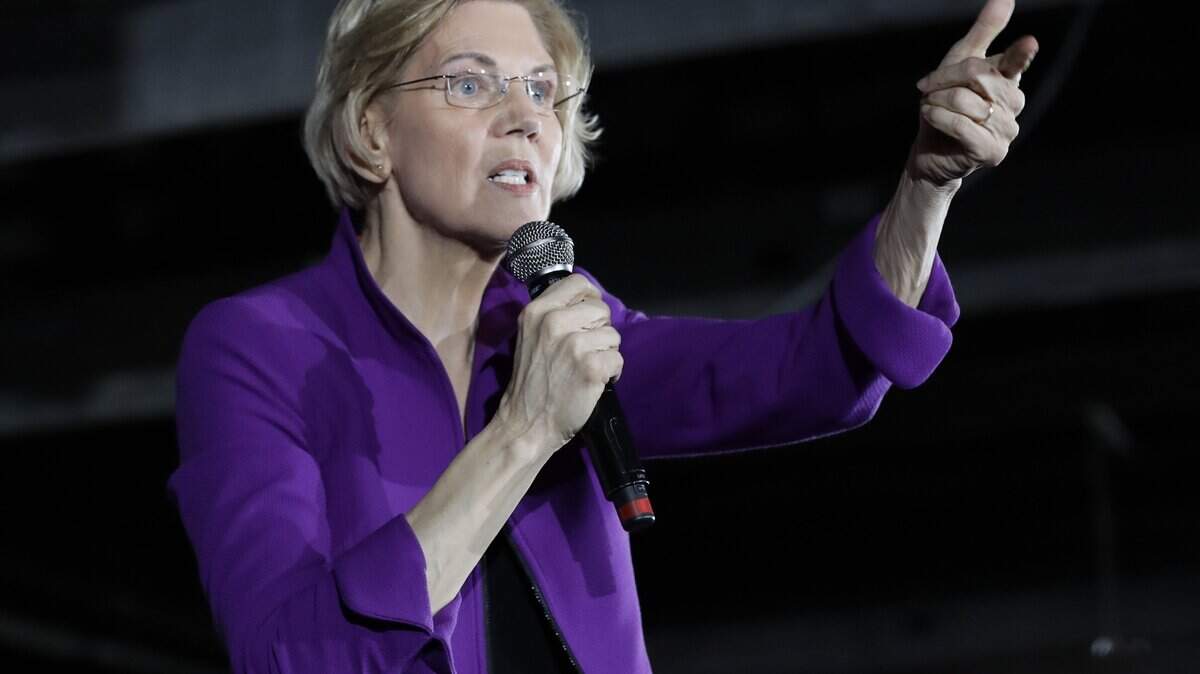 Democratic presidential candidate Sen. Elizabeth Warren, D-Mass., is betting voters are looking for a policy guru.(AP Photo/Frank Franklin II)