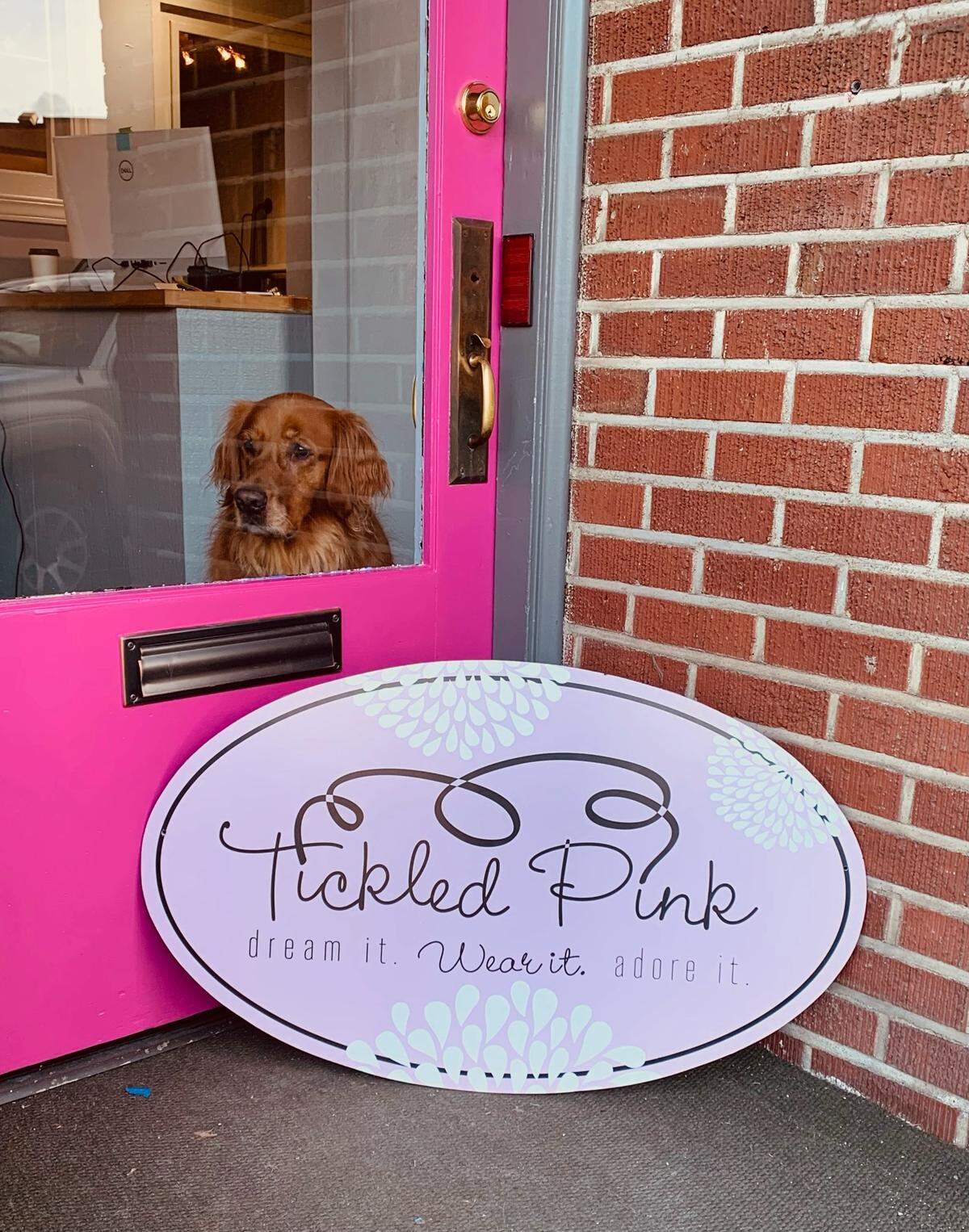 Shop dog Lucy poses inside Tickled Pink’s new location at 3102 Harborview Dr. in Gig Harbor. They are set to open sometime before the end of the month.