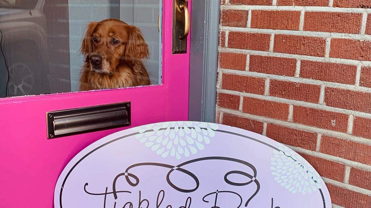 Shop Dog, Lucy, poses inside Tickled Pink’s new location at 3102 Harborview Dr. in Gig Harbor. They are set to open sometime before the end of the month.