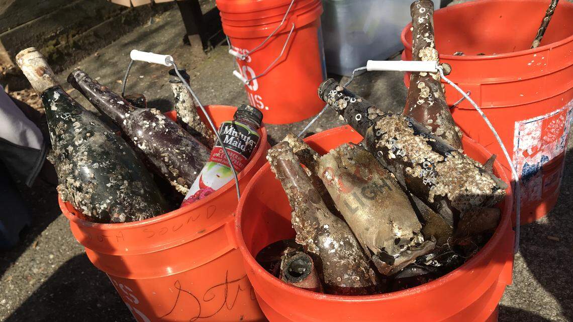 Some of the barnacle-encrusted bottles hauled up from the seabed off Ruston Way in Tacoma Saturday by volunteer SCUBA divers.