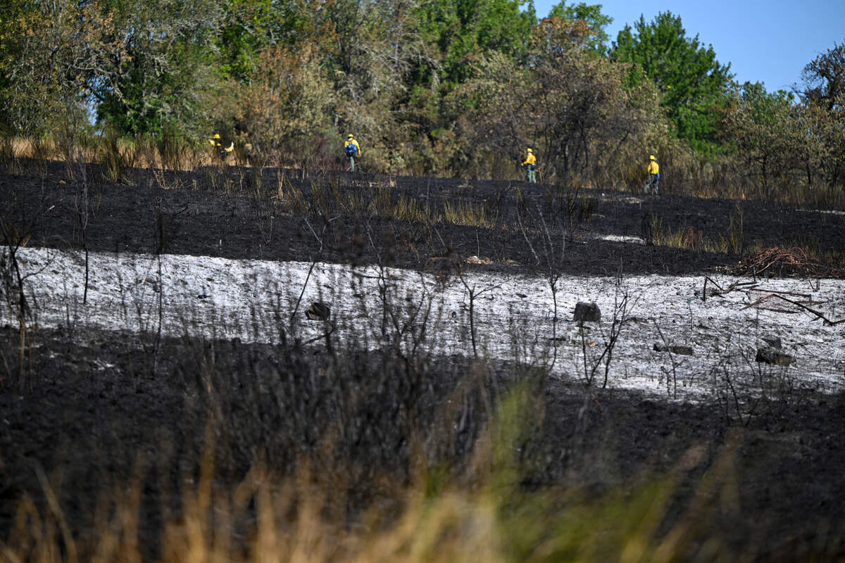 Fire crews search for hot spots at the site of a brush fire at Fort Steilacoom Park , Thursday, Aug. 17, 2023, in Lakewood.