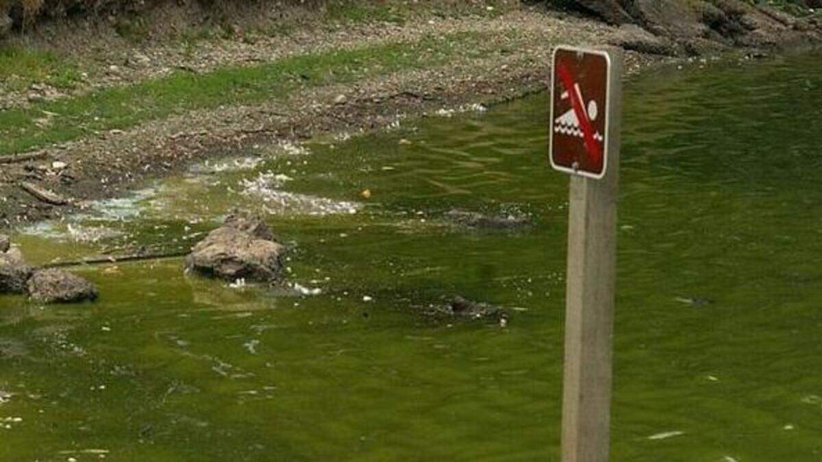A “no swimming” sign is seen at Wapato Lake.