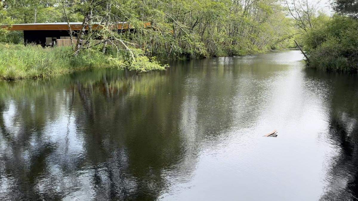The spa building at Snow Peak’s Campfield Long Beach looks out on the site’s pond and wetlands.