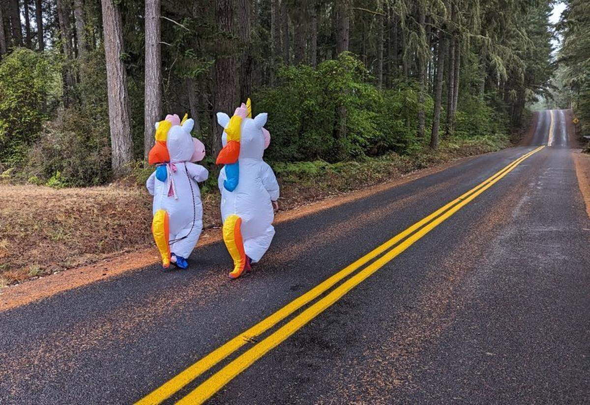 Unicorns were seen galloping through a Key Peninsula neighborhood, Sunday Sept. 25. 