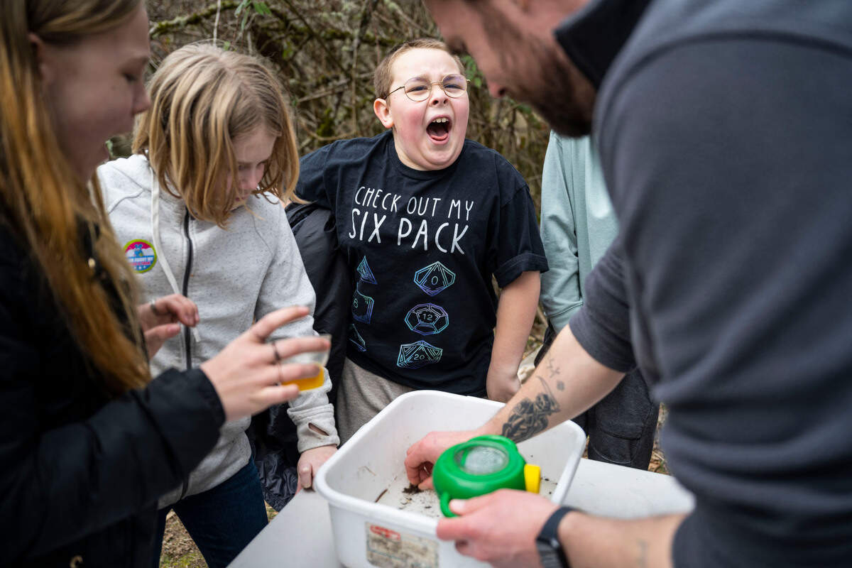 Grant Elementary School fifth grader Marshall Carleton, 10, screams as he sees a bug being picked up at Swan Creek Park during a school field trip that is part of the Foss Waterway Seaport Salmon in the Classroom program, in Tacoma on March 15, 2023.