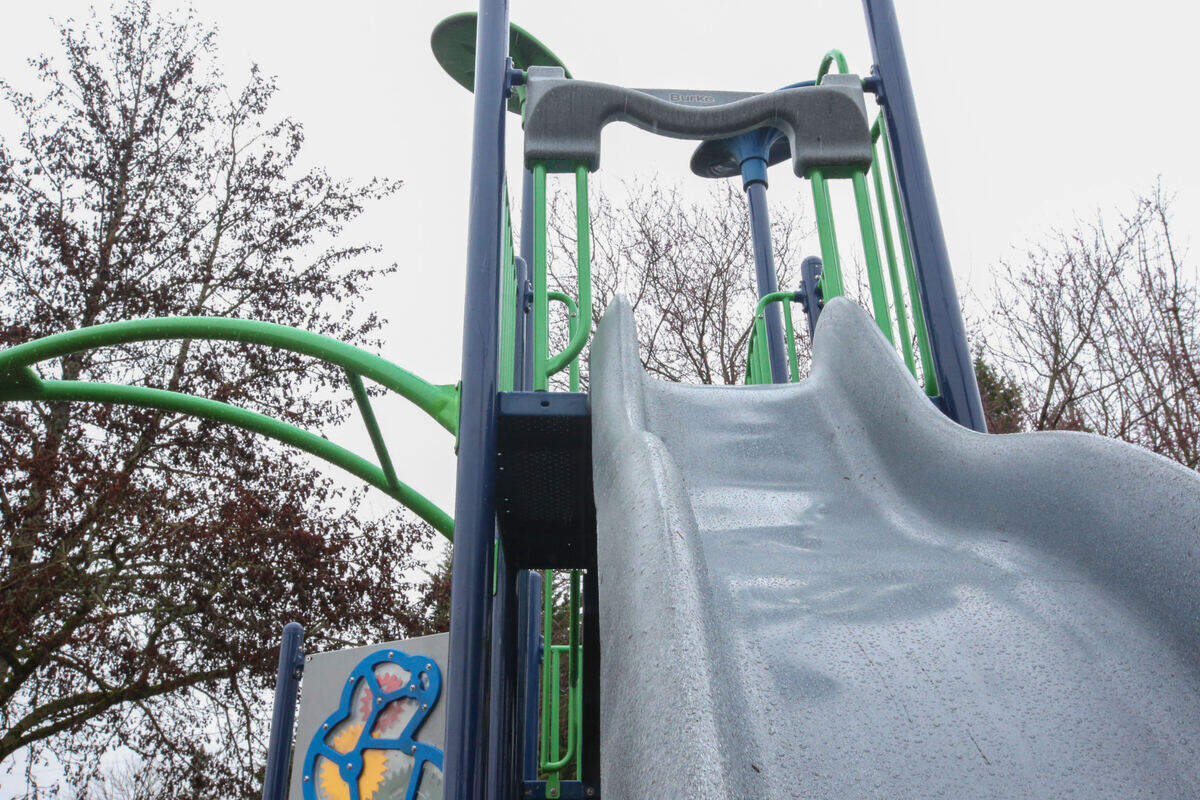 The playground in Seibenthaler Park was replaced in 2017, making it the most recent upgrade the park underwent.