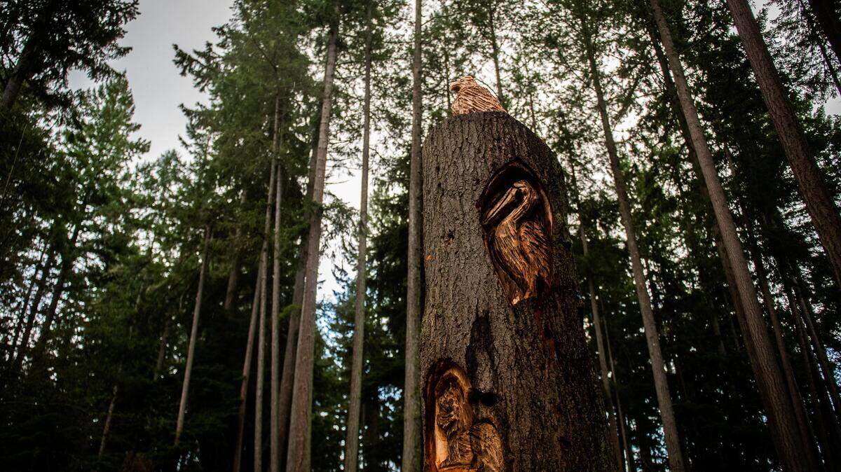 Animals have been carved into a stump at Grandview Forest Park in Gig Harbor.