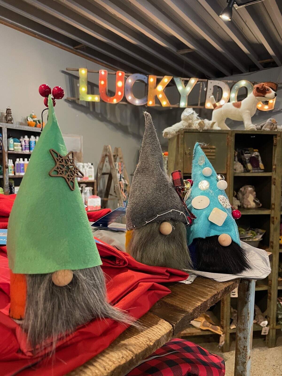 Hidden gnomes are waiting to be found at Lucky Dog Outfitters in Gig Harbor.