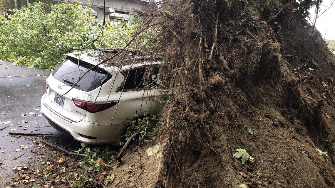 A tree fell on a moving car on Oct. 25, 2021, in Bellevue, Washington. A bomb cyclone storm brought heavy rain, gusty wind and power outages along Western Washington.