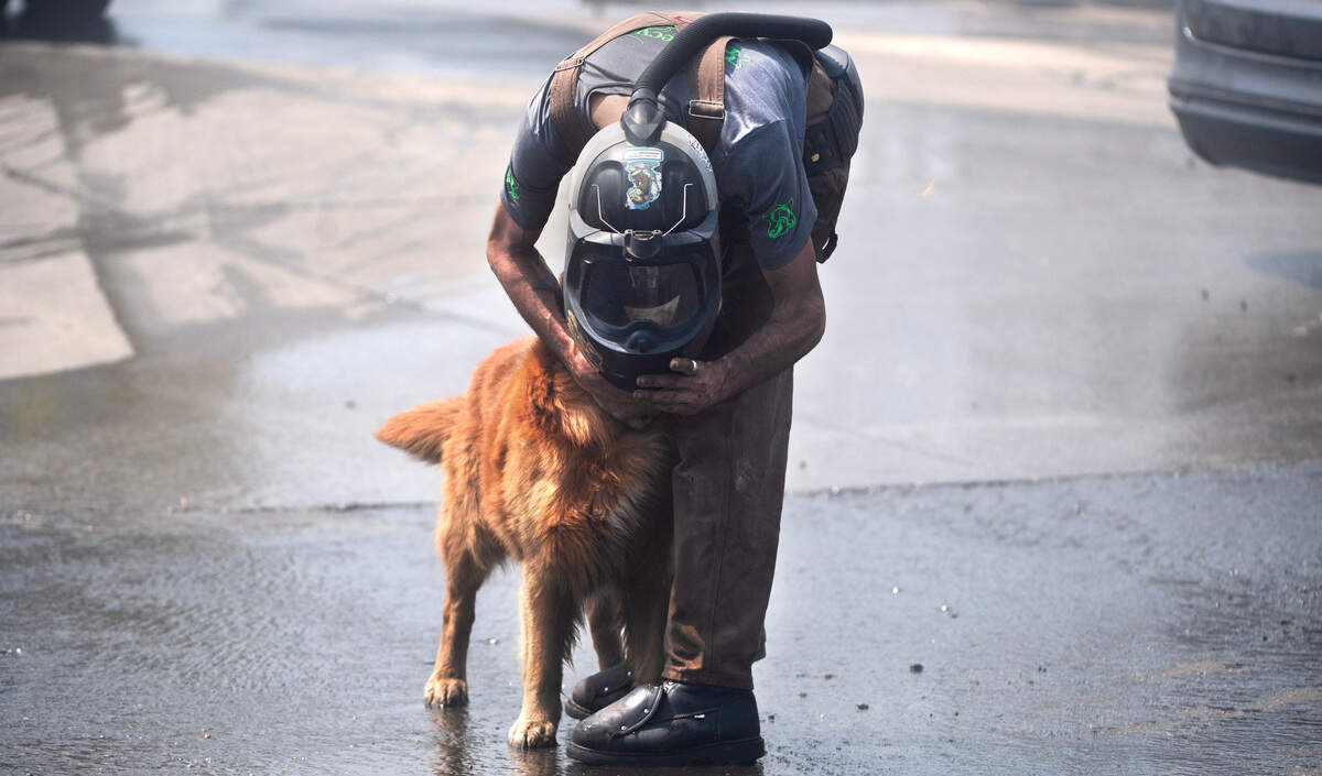 A worker shares his oxygen mask with a dog at a debris fire at Recycling Resources in Summit View, Wash., on Friday, July 12, 2024.