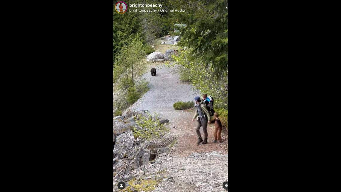 A bear followed a family on a trail in British Columbia, Canada, while they were with their three children. The parents caught the encounter on camera.