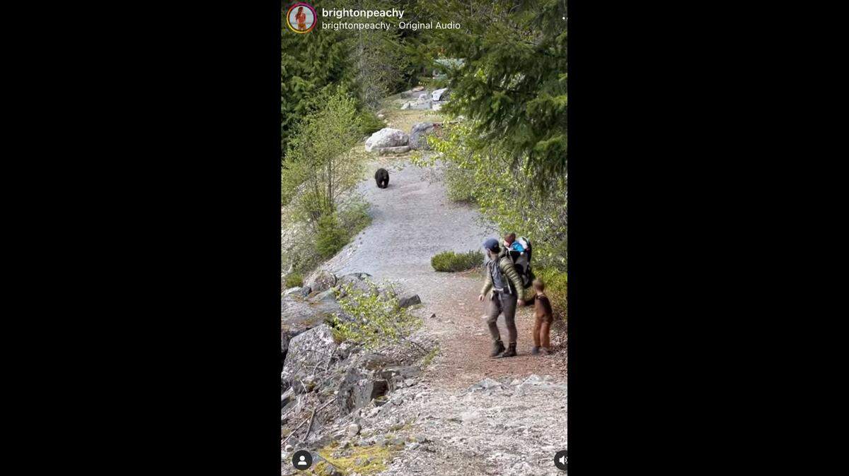 A bear followed a family on a trail in British Columbia, Canada, while they were with their three children. The parents caught the encounter on camera.
