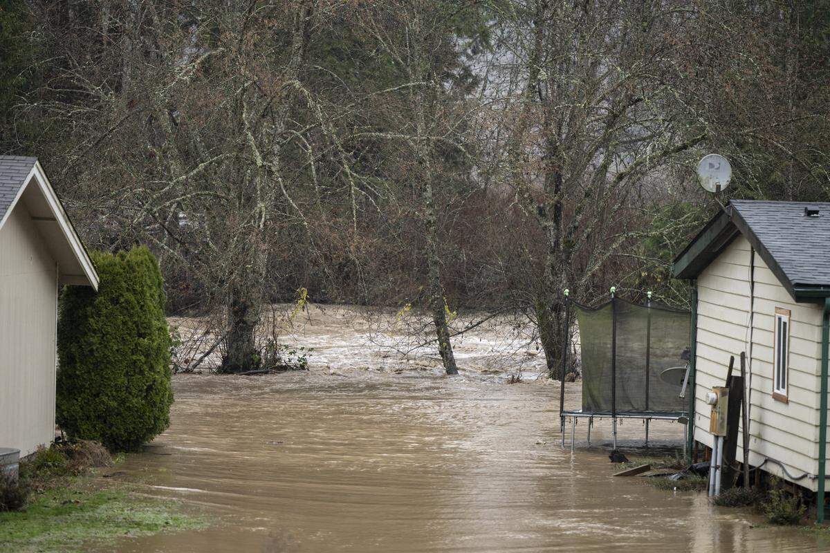 South Prairie Creeks flows over its banks and into the yards of nearby homes on Thursday, Dec. 11, 2025, in South Prairie, Wash. 