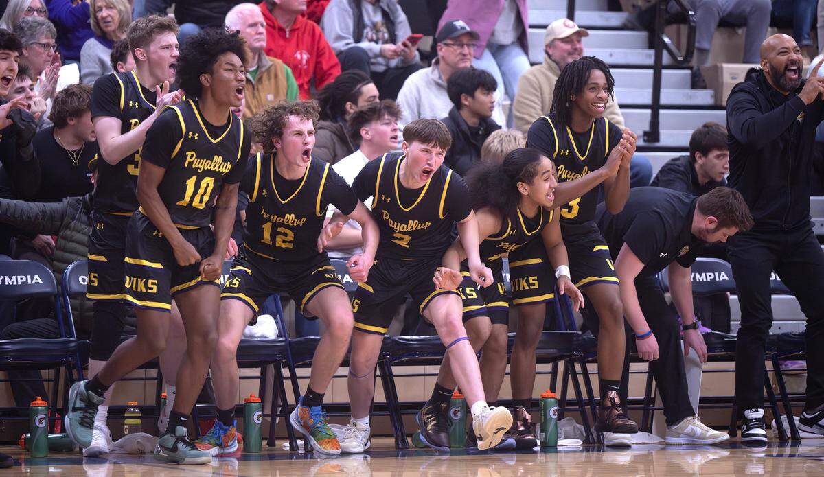 The Puyallup bench erupts as Drew Jones’ three-pointer pulls the Vikings into the lead over the Olympia Bears during Tuesday night’s 4A SPSL boys basketball game at Olympia High School in Olympia, Washington, on Jan. 14, 2025. Olympia won the game, 62-53.