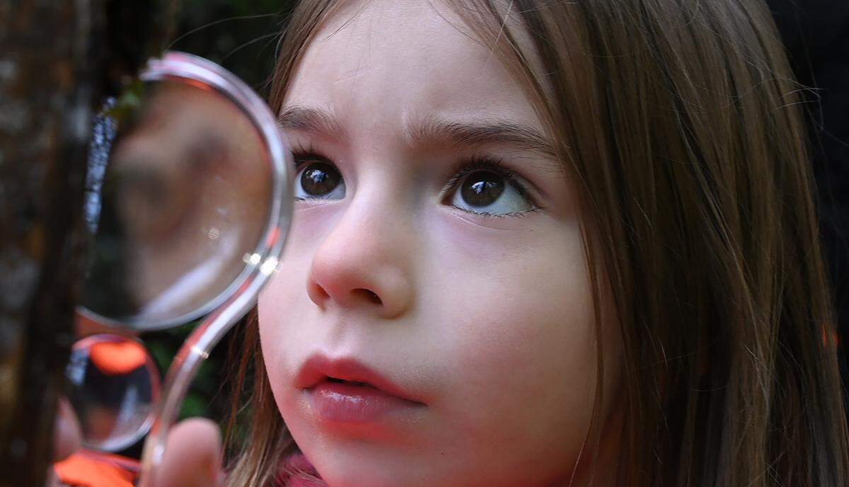 Chloe Johnson, a transitional kindergarten student at Voyager Elementary examines a tree branch as her class takes a nature walk through Kopachuck State Park in Gig Harbor, Washington, on Tuesday, Jan. 10, 2023.