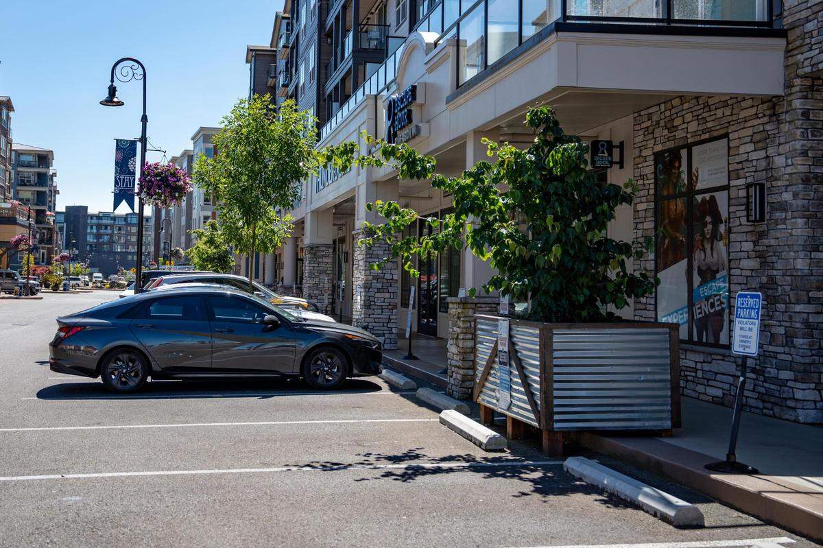 Due to the contaminated soil, most of the trees in Point Ruston are above ground in planters as opposed to planted in the ground.