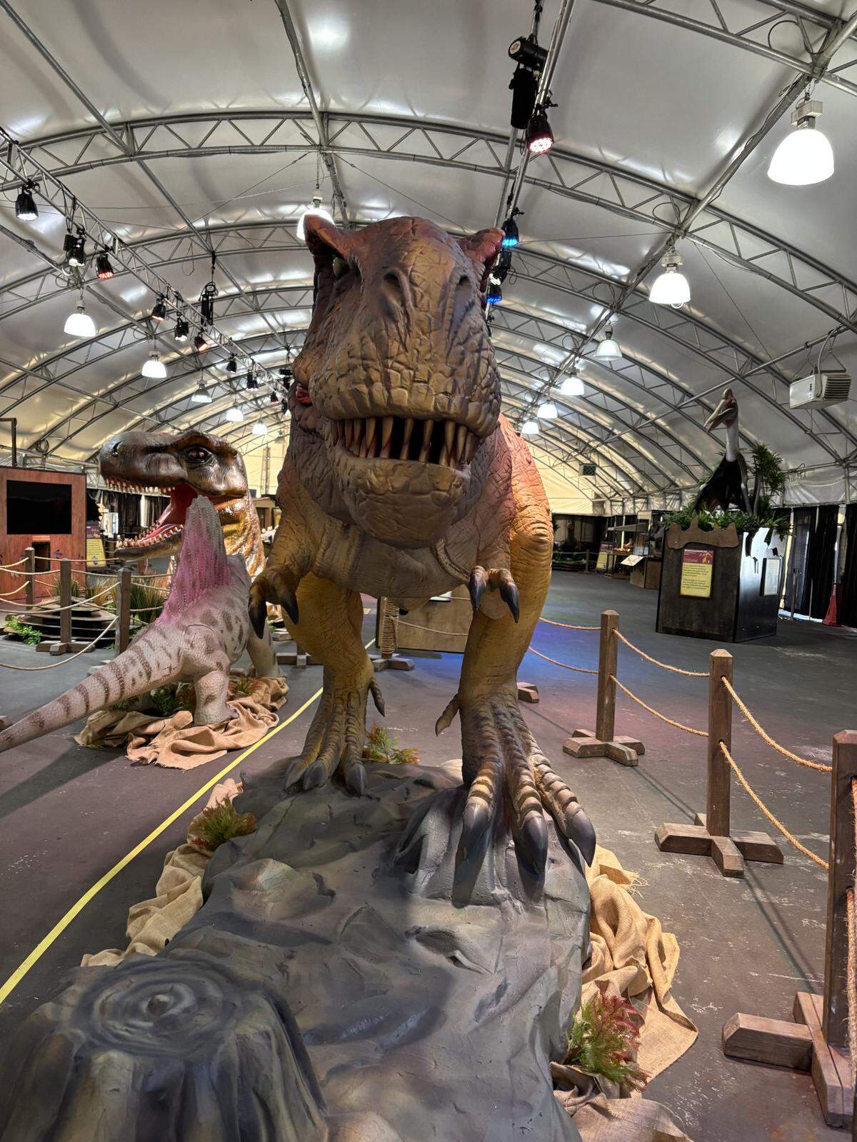The Dinosaur Exhibit costs $8 to get into and is available on all dates of the Washington Spring Fair.