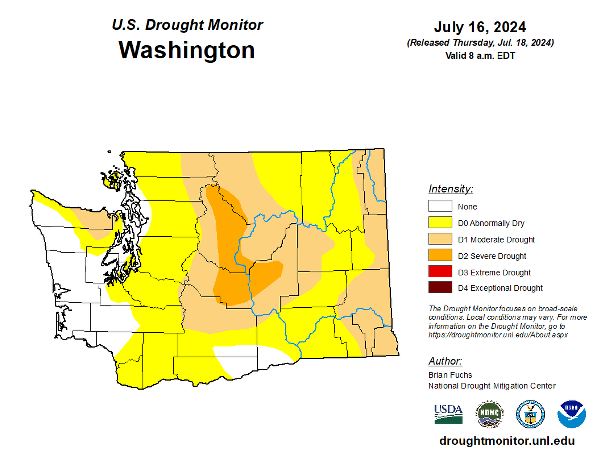 A map released by the U.S. Drought Monitor shows a snapshot of drought conditions in Washington State as of July 16, 2024 at 8 a.m. EDT. Most of Pierce County is designated as “abnormally dry.”