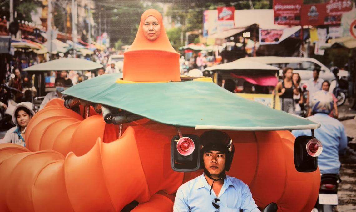 The Buddhist Bug by Anida Yoeu Ali.