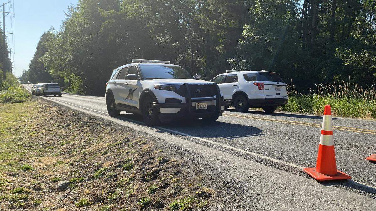A pedestrian has died after she was hit by a semi-truck Thursday morning in Pierce County near McKenna.