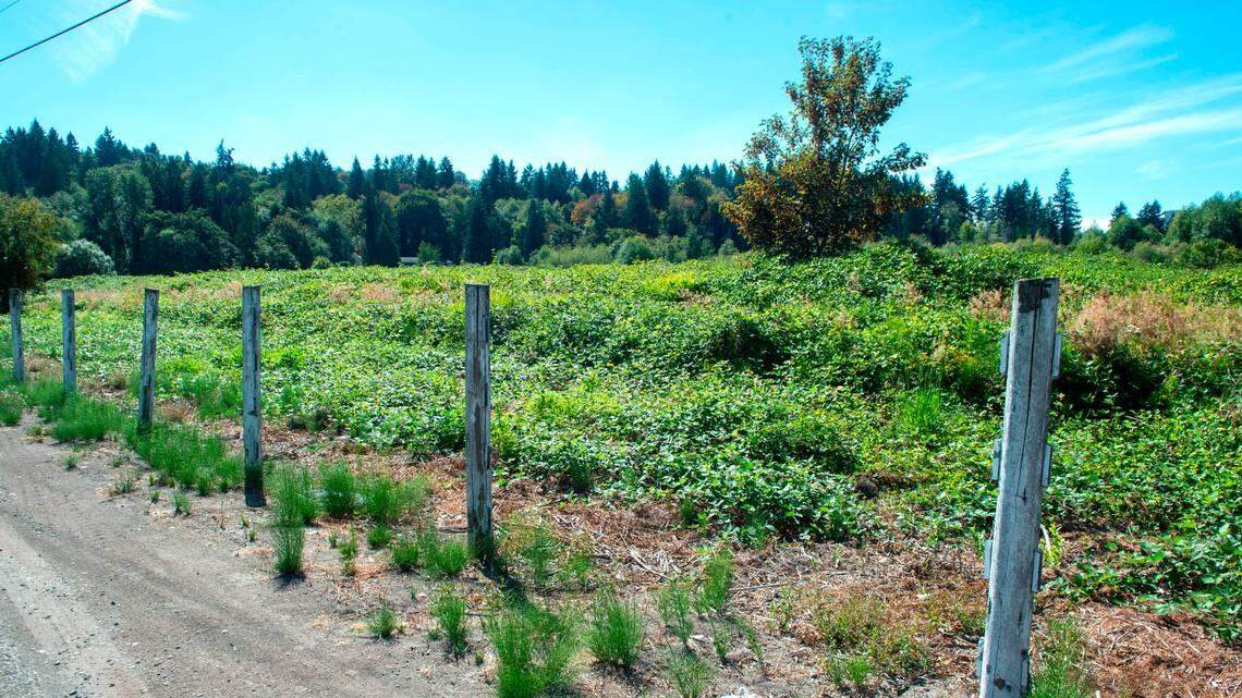 New Puyallup trail and 20-acre park are in the works. Here’s where plans stand
