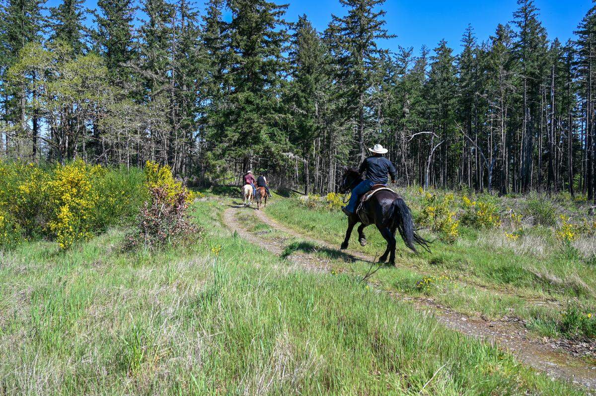 Riders from the Medicine River Ranch, running free on what was once Nisqually land.