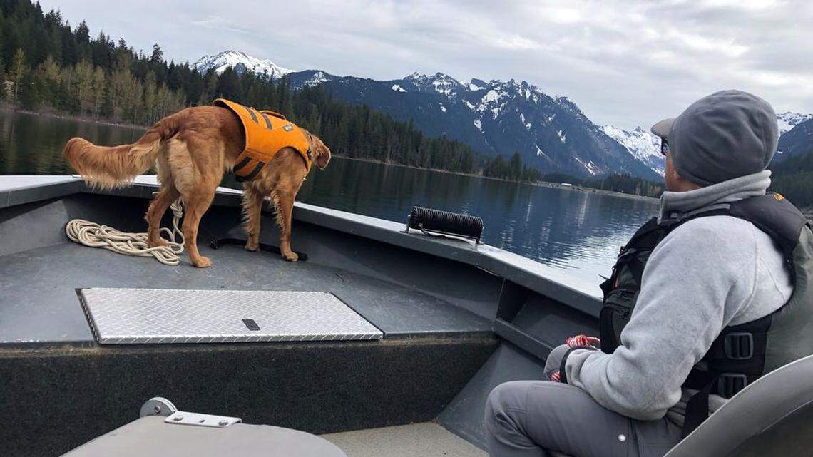Rescuers are searching for a missing paddleboarder who was last seen falling into Lake Keechelus in Washington on May 22, 2022, the sheriff’s office said. Dogs, drones and boats are being used to find him.