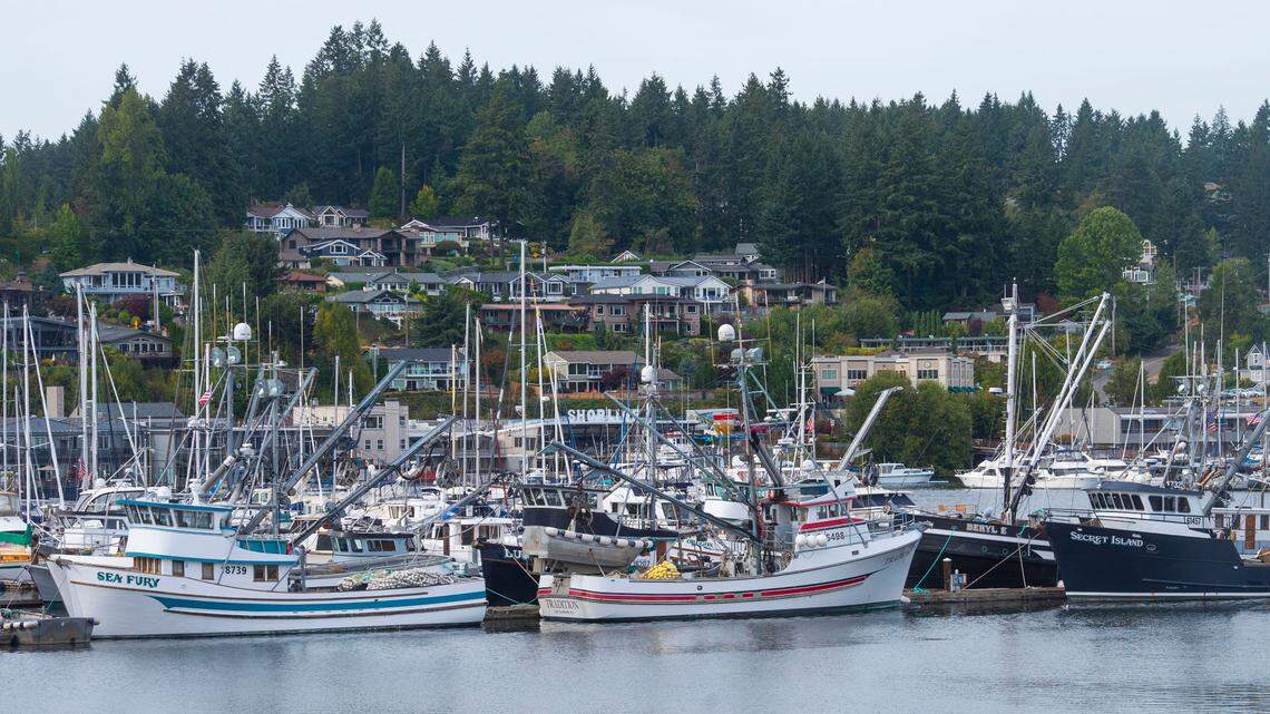 After two lackluster years, skippers of the fleet based in Gig Harbor are back after a successful run fishing for salmon in Alaska. Photo taken on Thursday, Sept. 16, 2021.