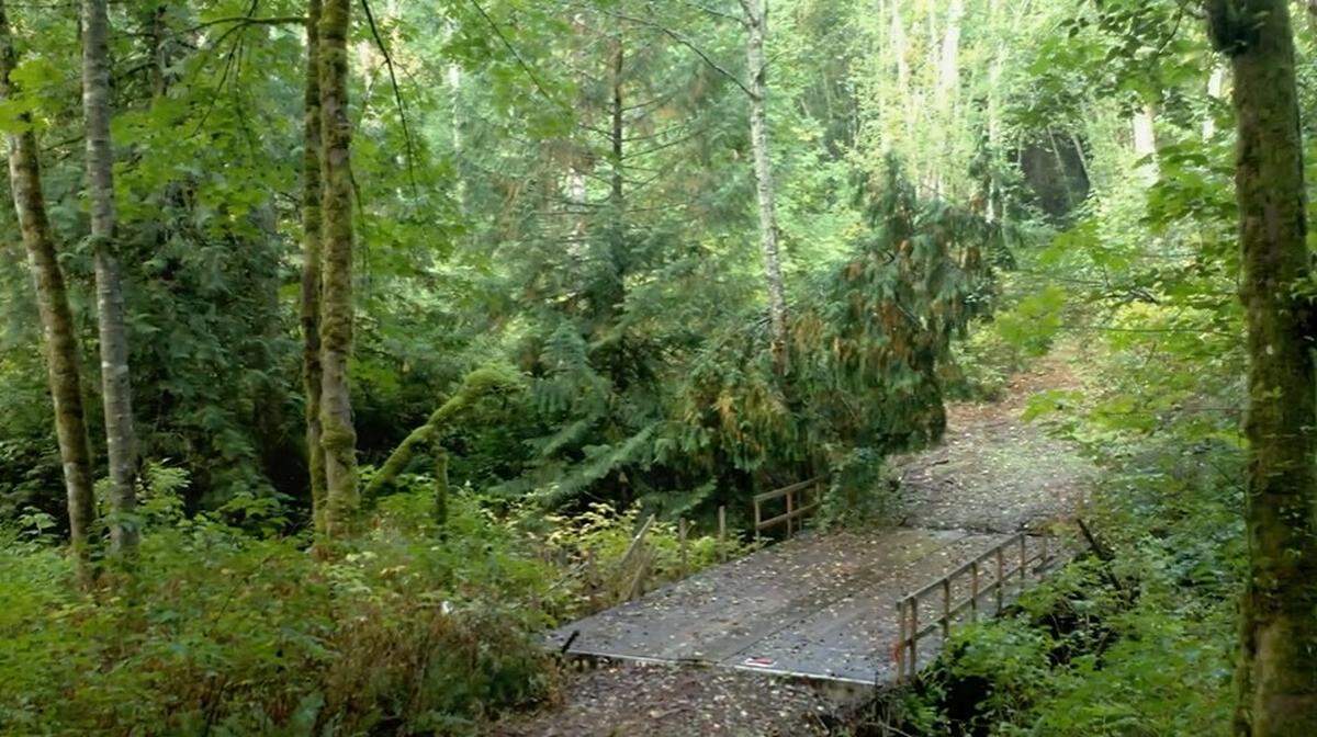 “It is truly beautiful,” Mayor-elect Tracie Markley said at the meeting. “... The trail is very easy to maintain, there’s a beautiful wooden bridge. It’s just really lovely.”