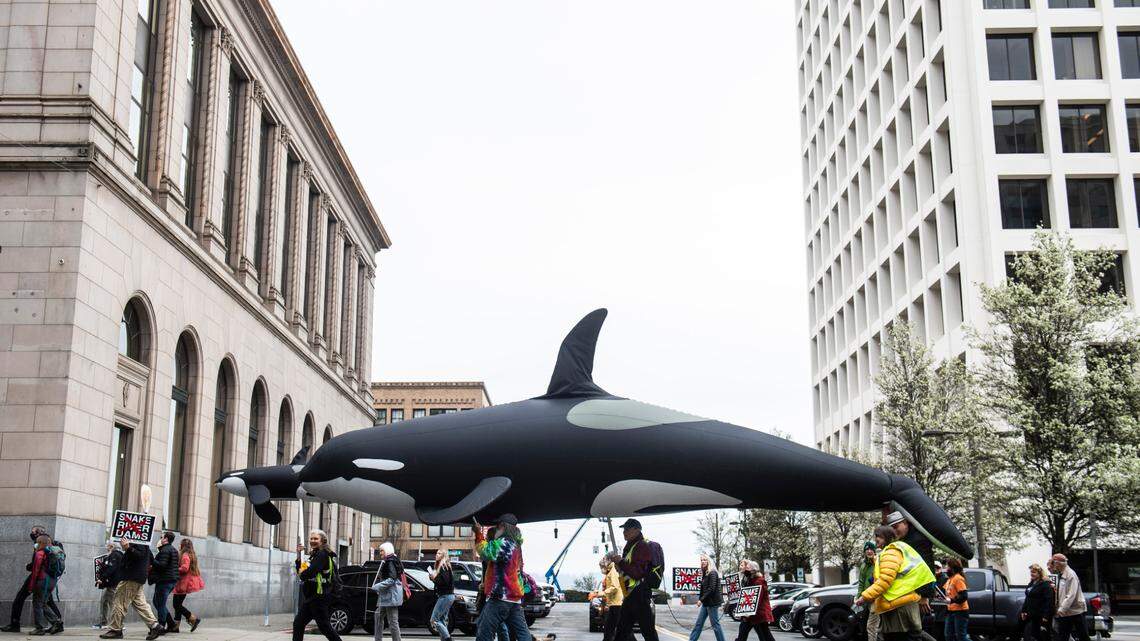 Biden admin’s draft plan called the ‘greatest single threat’ yet to Snake River dams