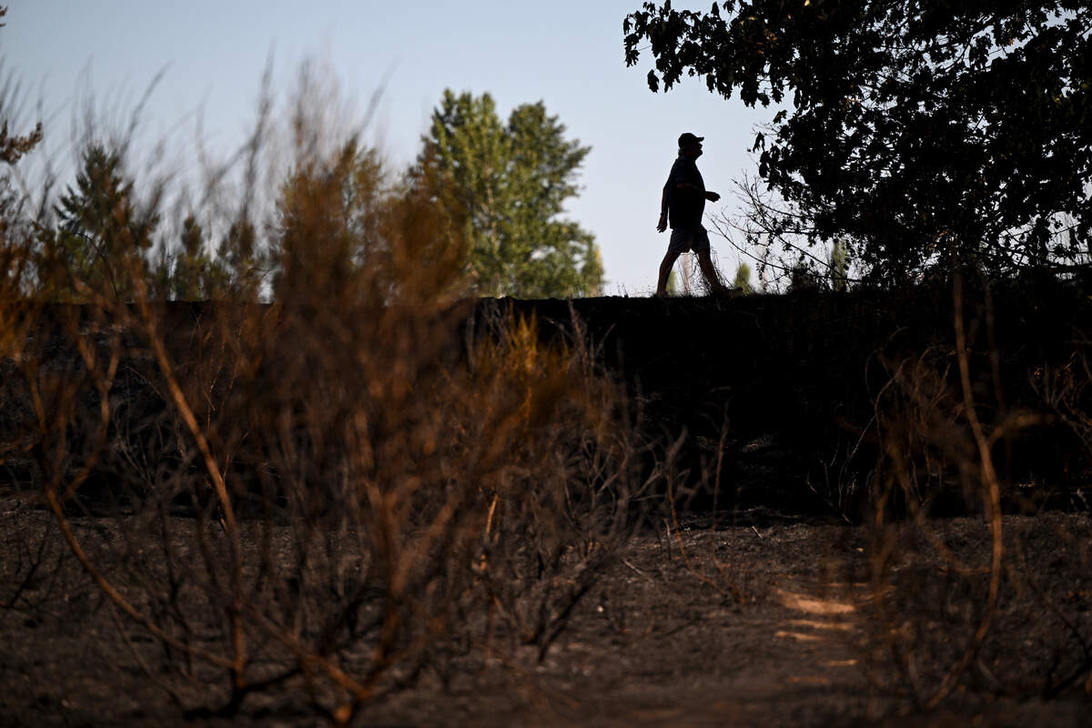 People walk the trails through fire damage at the site of a brush fire at Fort Steilacoom Park , Thursday, Aug. 17, 2023, in Lakewood.