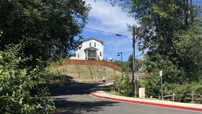 Developer to build 42 homes along busy Gig Harbor road, records say