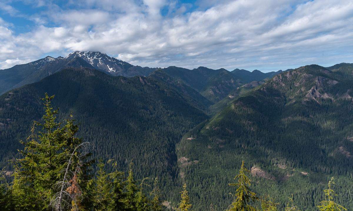 Mount Washington looms over the Olympic National Forest on the Olympic Peninsula in March 2023.