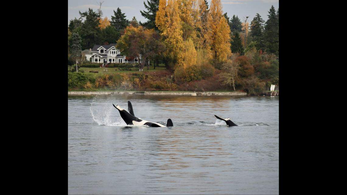 Martin said the encounter left her in awe.