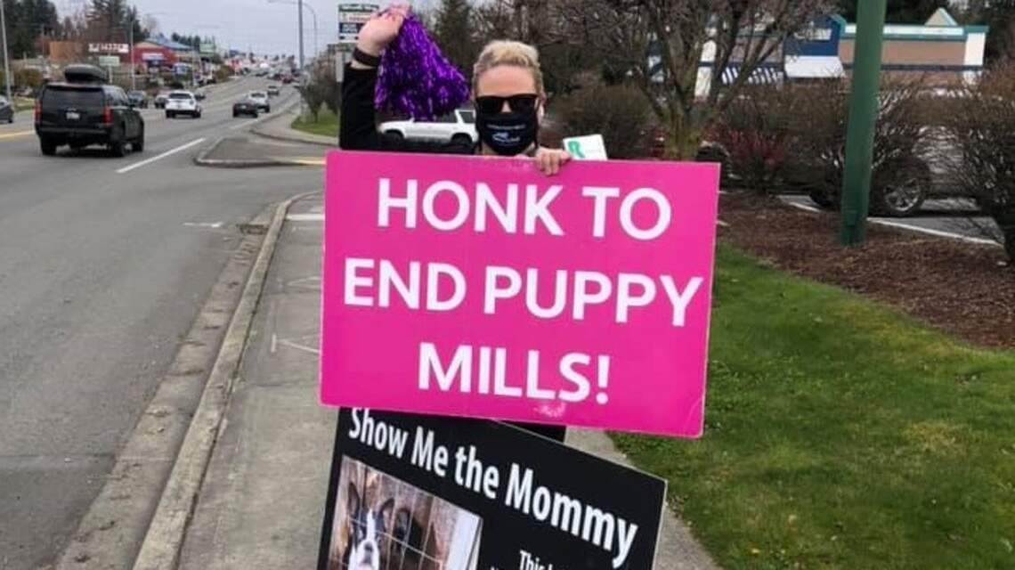 Want to buy a healthy puppy? Washington pet stores are blind bet. State must fix this